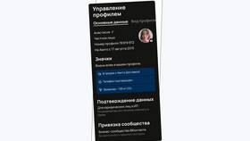 Авито и Авито Про: основные отличия в COLINS