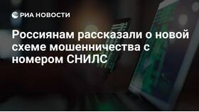 Что будет, если мошенники узнали номер СНИЛС в COLINS