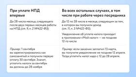 Что нужно платить за самозанятость в COLINS