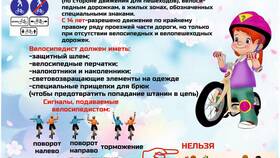 Что нужно знать о ГИБДД в COLINS