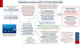 Что такое авансовый платеж по УСН в COLINS
