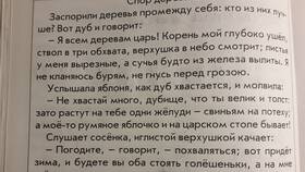 Глаголы с приставками в прошедшем времени в COLINS