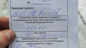 Как найти чек в мобильном приложении Альфа-Банка в COLINS