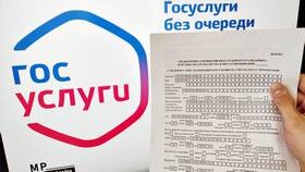 Как оформить иностранного гражданина через Госуслуги в COLINS