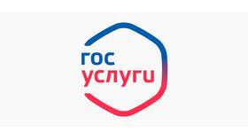 Как оплатить госпошлину через Госуслуги в COLINS