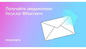 Как оплатить постановление через Госуслуги в COLINS