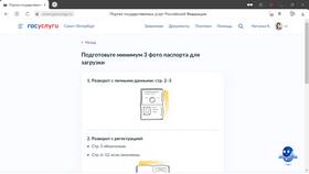 Как получить справку через портал Госуслуги в COLINS