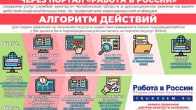 Как получить статус безработного через Госуслуги в COLINS