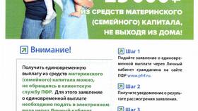 Как получить страховую пенсию после смерти в COLINS