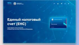 Как пополнить единый налоговый счет в COLINS