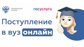 Как правильно подать документы на портале Госуслуги в COLINS