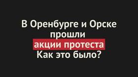 Как прошли акции в COLINS