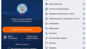 Как указать данные в личном кабинете Госуслуг в COLINS