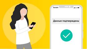 Как узнать информацию в личном кабинете Билайн в COLINS