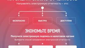 Как узнать крупнейшего налогоплательщика по ИНН в COLINS