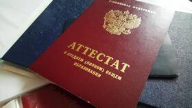 Как узнать серию и номер паспорта в COLINS