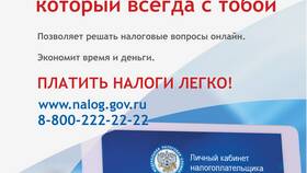 Как вывести деньги с личного кабинета ФНС в COLINS