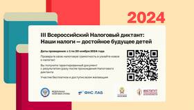Налоги: что нового в 2024 году в COLINS