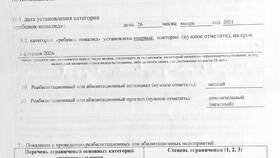 Состав пенсии по инвалидности в России в COLINS