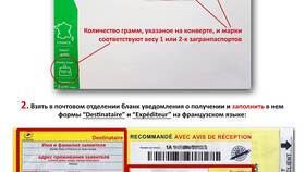 Заявление на загранпаспорт: требования и образцы в COLINS
